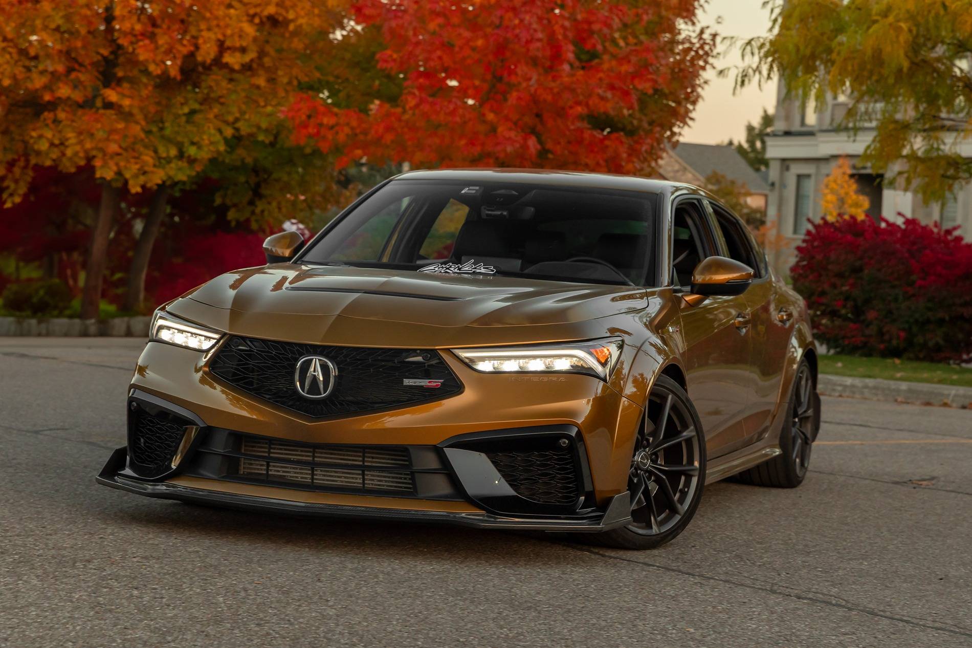 Acura Integra 1to_TypeS - Tiger Eye Pearl (TEP) build 1000163737