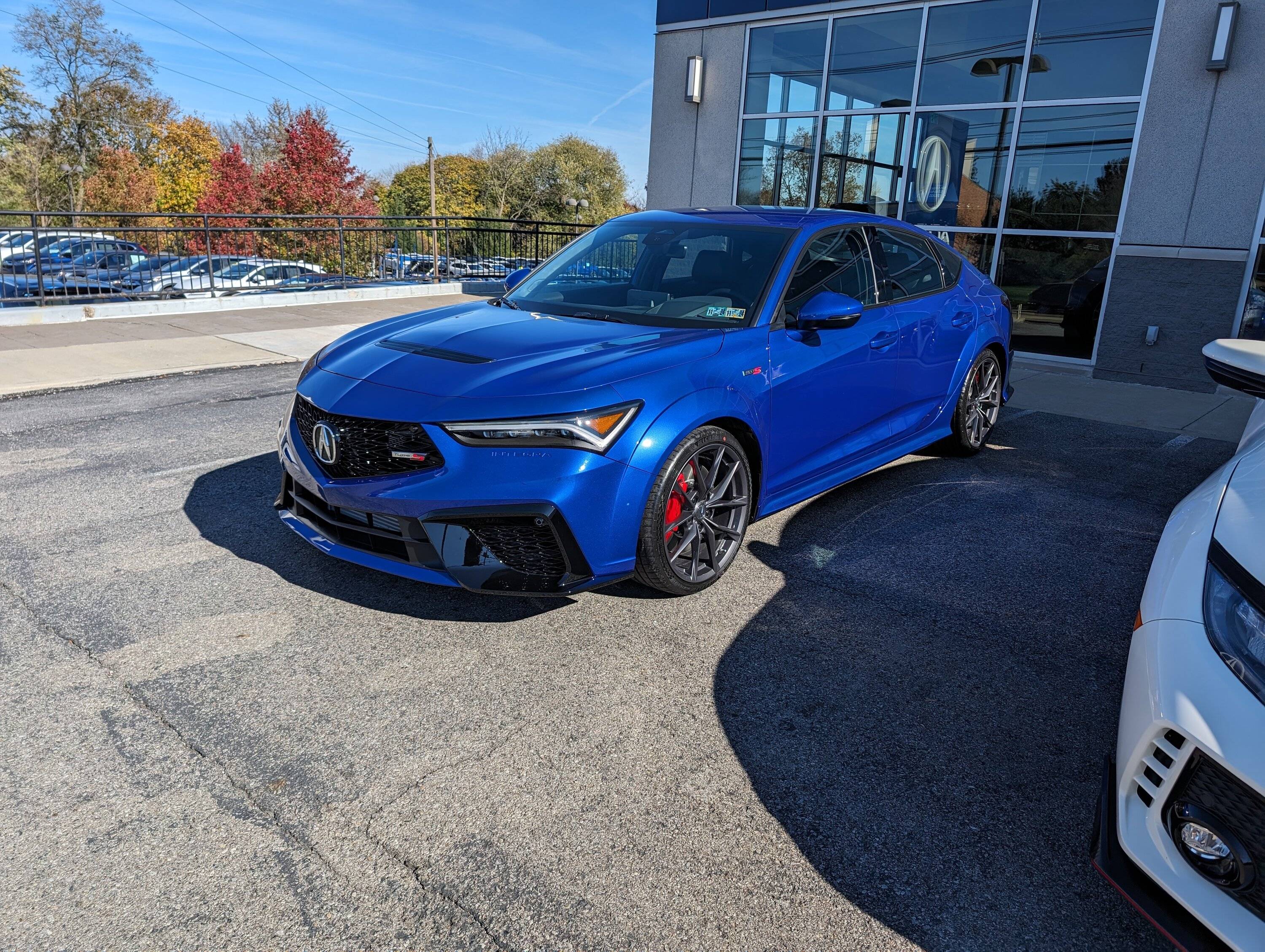 Acura Integra Apex Blue Appreciation Thread PXL_20231103_165924338